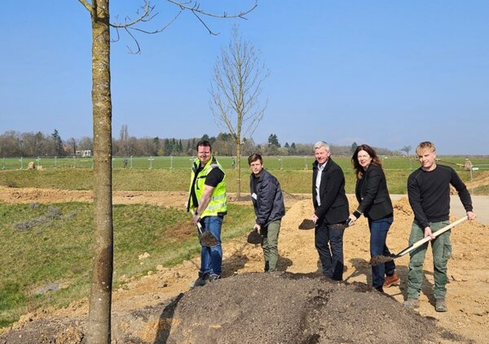 Bierstadt Nord: 83 Bäume gepflanzt, zentrale Grünanlage soll 2026 öffnen