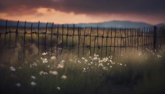 Deutsche Innenpolitik: Kontroverse um härteren Migrationskurs und Haft-Möglichkeiten für Asylbewerber, auch Kinder betroffen