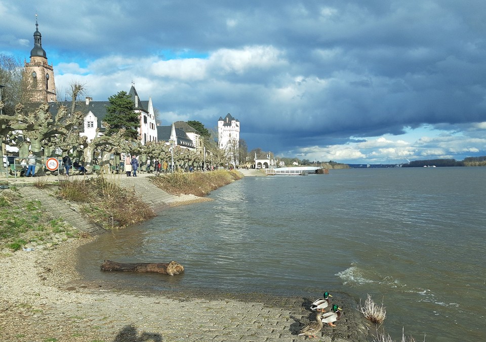 Eltville erneuert Rheinufergeländer nach historischem Vorbild Eltville erneuert Rheinufergeländer nach historischem Vorbild