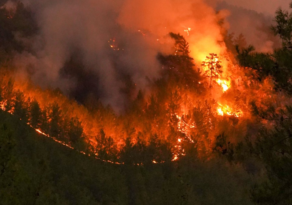 Höchste Waldbrandwarnstufe: Taunusstein hält Grillverbot auf städtischen Anlagen aufrecht
