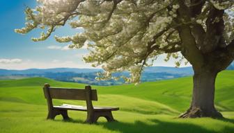 Junge Union und Wirtschaftsweise kritisieren Rentenpaket: Reformen nötig bis 2031 Junge Union und Wirtschaftsweise kritisieren Rentenpaket: Reformen nötig bis 2031