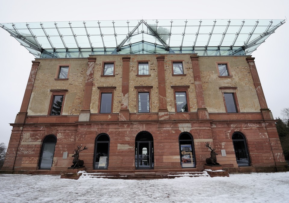 Nordmanntannen aus zertifiziertem Stadtwald können am 13. Dezember selbst geschlagen werden