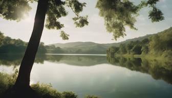 Private-Markets-Fonds für Kleinanleger: Chancen und Risiken im Überblick