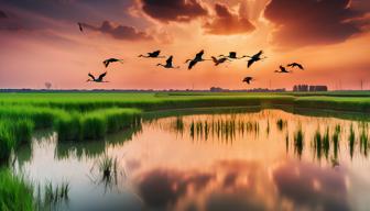 Vogelgrippe breitet sich in Deutschland aus: Tausende Kraniche und Geflügel betroffen Vogelgrippe breitet sich in Deutschland aus: Tausende Kraniche und Geflügel betroffen