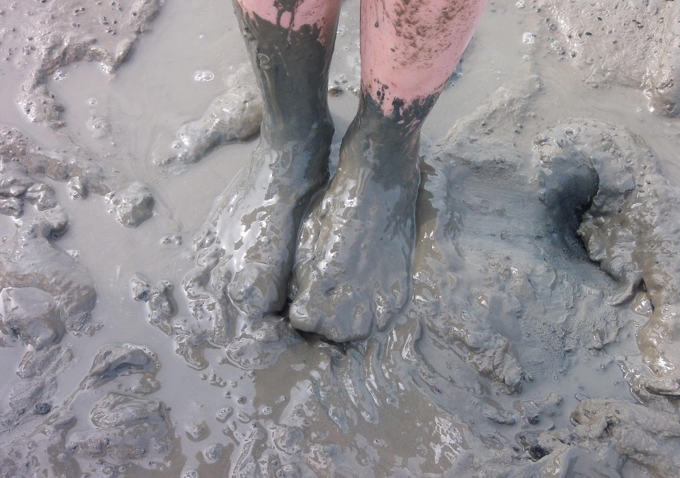 Watt en Schlick 2023 Preise: Detaillierte Übersicht zu Angeboten, Preisen und Leistungen