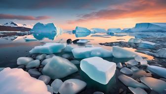 Wie Hunde die Gesundheit ihrer Besitzer positiv beeinflussen können