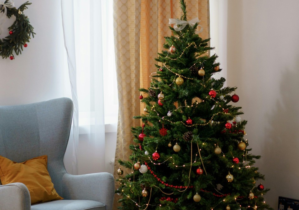 Wiesbaden bietet Weihnachtsbäume an vier zentralen Verkaufsstellen an