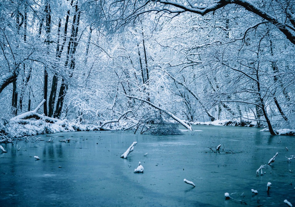 Wiesbaden warnt vor Betreten von Eisflächen: Schiersteiner Hafen besonders erwähnt